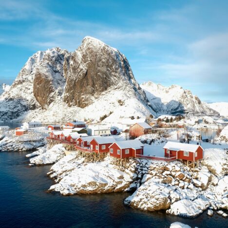 Scandinavian Markets: Culture, Colours, and Culinary Delights
